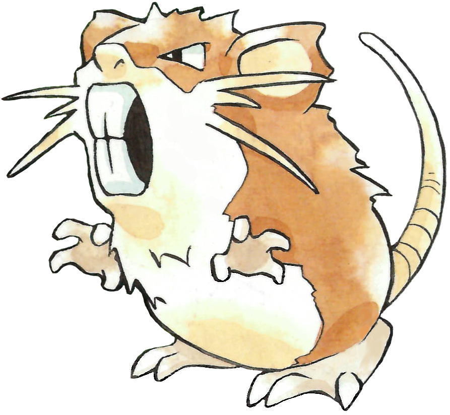 Raticate